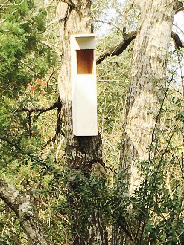 The best time to hang your OwlReach Nest Box
